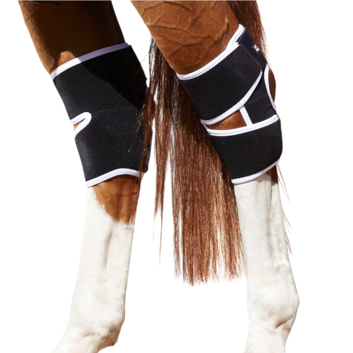 magni-teque-magnetic-hock-boots.png