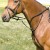 924-martingale-belinda-0-97182a6b.jpg