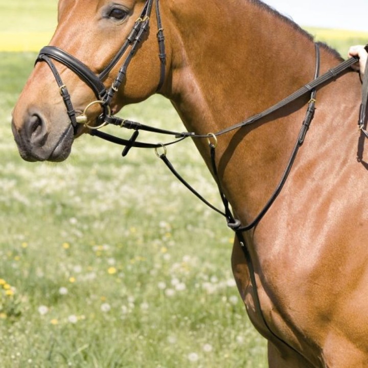 924-martingale-belinda-0-97182a6b.jpg