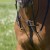 924-martingal-belinda-0-973c6330.jpg