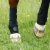 Turnout-Boots-2_1600x.webp