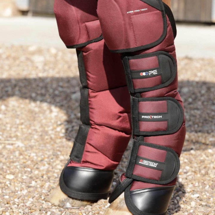 ballistic-knee-pro-tech-horse-travel-boots-1007sbrg-629728_768x.jpg