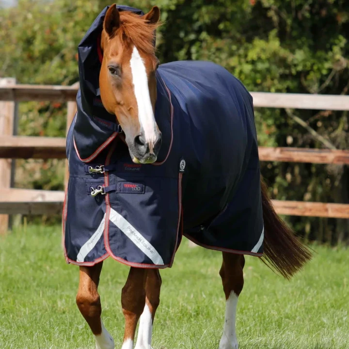 Titan-100g-Turnout-Rug-with-Snug-Fit-Neck-Cover-Image-7_f2289e31-ac2f-478b-9656-130012ecc950_1600x.webp