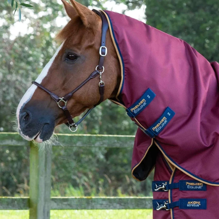 Akoni-Stratus-0g-Burgundy-2_1600x.webp
