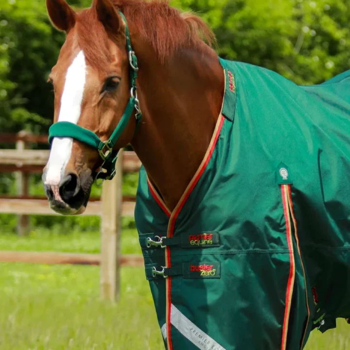 Buster-Zero-Turnout-Rug-Green-2_768x.webp