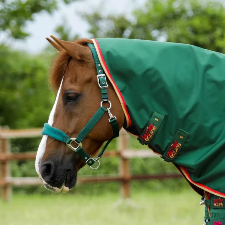 Buster-Zero-Turnout-Rug-Green-3_768x.webp