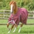 buster-zero-original-turnout-rug-216650brg-275603_768x.webp