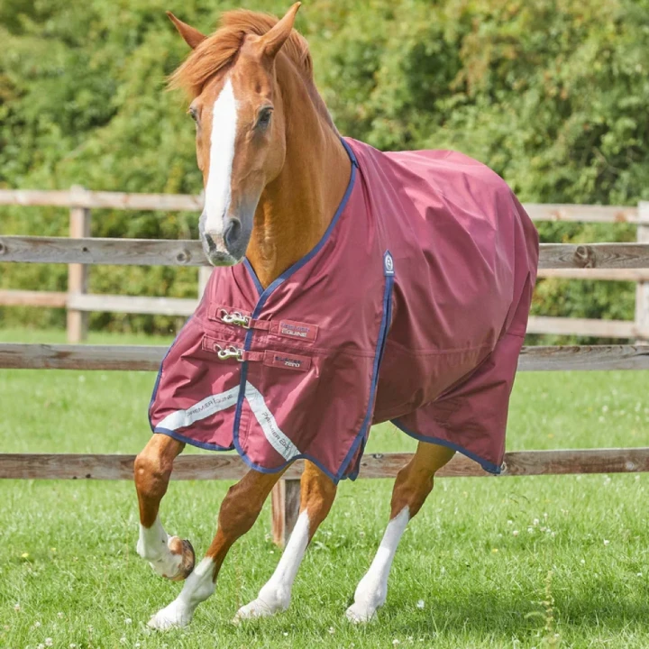 buster-zero-original-turnout-rug-216650brg-275603_768x.webp
