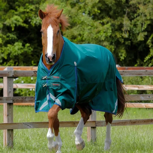 Buster-Zero-Original-Turnout-Rug-Green-1-v2_768x.webp