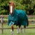 Buster-Zero-Original-Turnout-Rug-Green-1-v2_768x.webp
