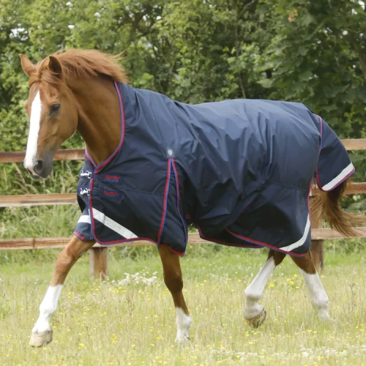 buster-hardy-0g-half-neck-turnout-rug-220656n-504212_768x.webp