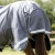 buster-hardy-0g-half-neck-turnout-rug-220656g-143592_1600x.webp