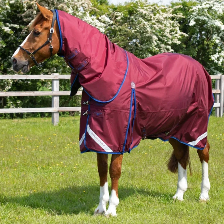buster-40g-turnout-rug-with-classic-neck-cover-203450brg-366989_768x.webp