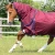 buster-40g-turnout-rug-with-classic-neck-cover-203450brg-424000_768x.webp
