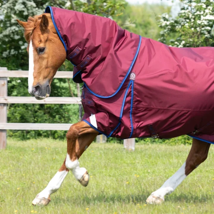 buster-40g-turnout-rug-with-classic-neck-cover-203450brg-424000_768x.webp