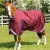 buster-40g-turnout-rug-with-classic-neck-cover-203450brg-891212_768x.webp