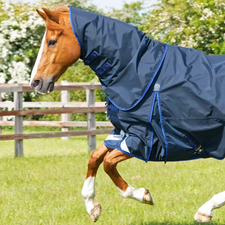 buster-40g-turnout-rug-with-classic-neck-cover-203450n-132642_1600x.webp