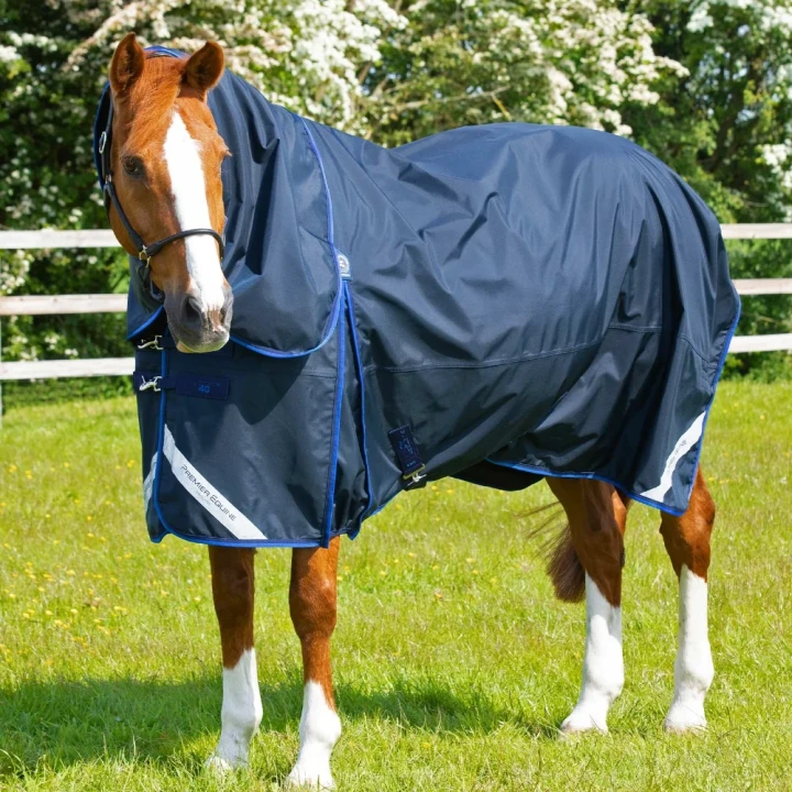 buster-40g-turnout-rug-with-classic-neck-cover-203450n-778905_1600x.webp