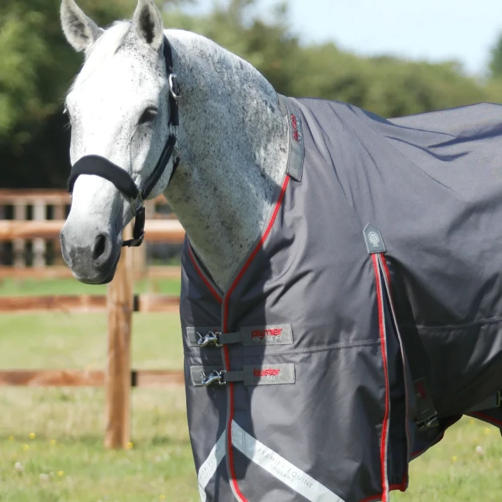 buster-50g-turnout-rug-with-snug-fit-neck-cover-2213-56g-820147_1600x.webp