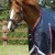 buster-50g-turnout-rug-with-snug-fit-neck-cover-2213-56n-450996_768x.webp