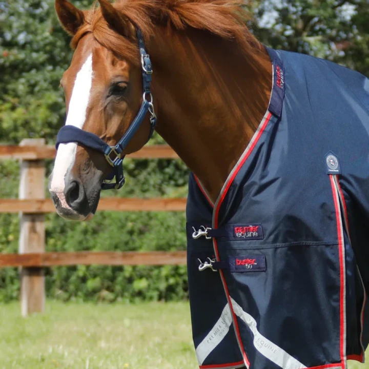 buster-50g-turnout-rug-with-snug-fit-neck-cover-2213-56n-450996_768x.webp