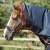 buster-50g-turnout-rug-with-snug-fit-neck-cover-2213-56n-633413_768x.webp