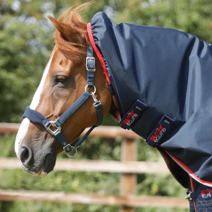 buster-50g-turnout-rug-with-snug-fit-neck-cover-2213-56n-633413_768x.webp