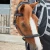 magni-teque-magnetic-browband-6000-798155_1600x.webp