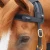 magni-teque-magnetic-browband-6000-886298_1600x.webp