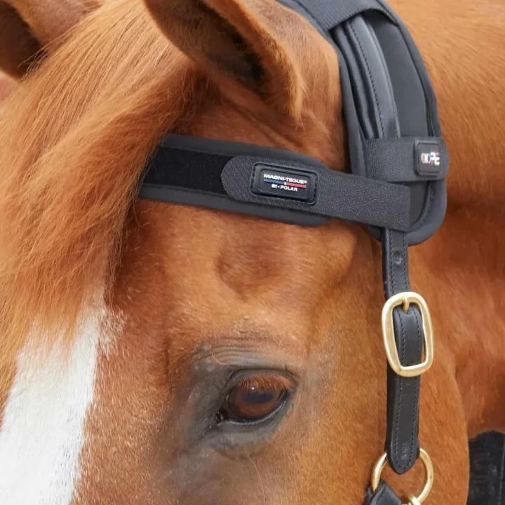 magni-teque-magnetic-browband-6000-886298_1600x.webp