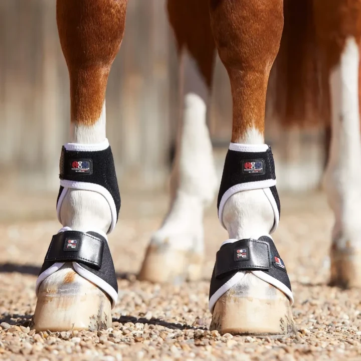 magni-teque-magnetic-hoof-boots-1015s-350135_1600x.webp