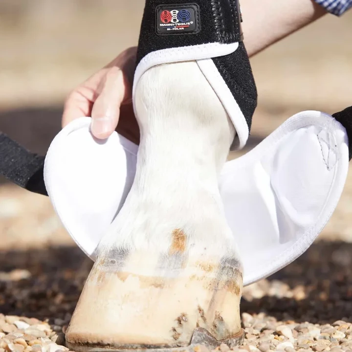 magni-teque-magnetic-hoof-boots-1015s-935834_1600x.webp
