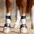 magni-teque-magnetic-fetlock-boots-1013-225338_1600x.webp