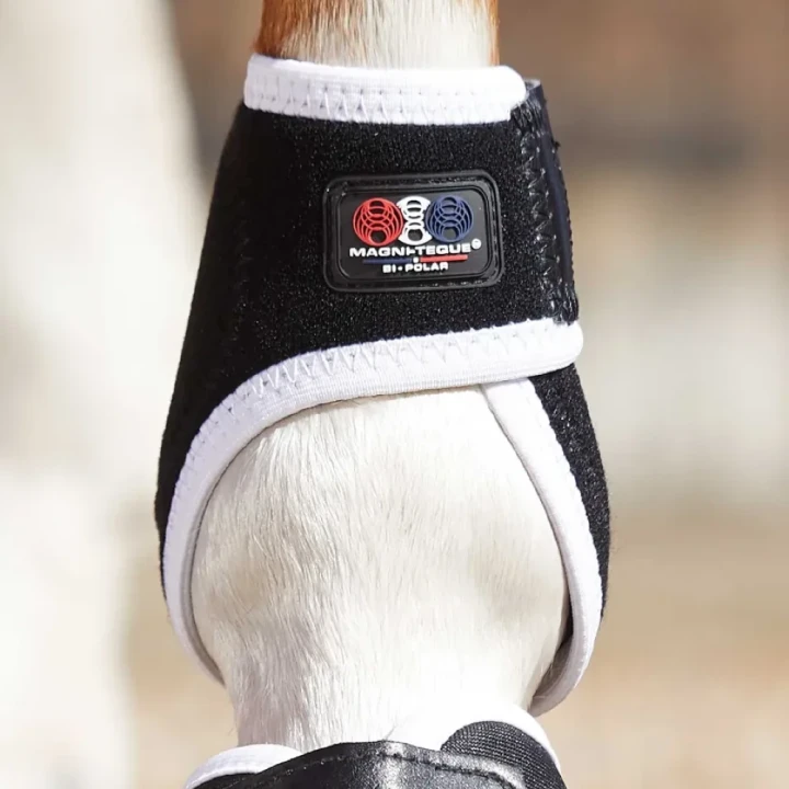 magni-teque-magnetic-fetlock-boots-1013-362988_1600x.webp