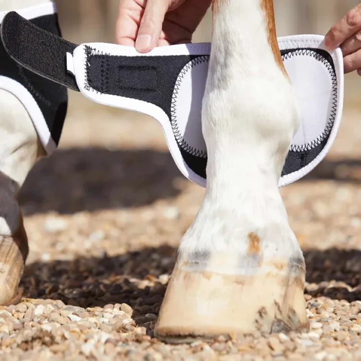 magni-teque-magnetic-fetlock-boots-1013-527400_1600x.webp
