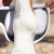 magni-teque-magnetic-fetlock-boots-1013-979245_1600x.webp