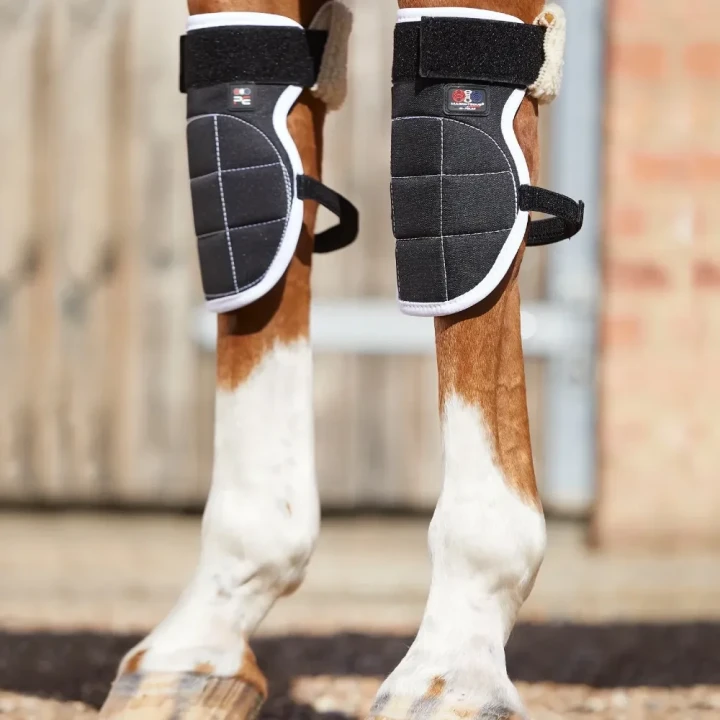 magni-teque-magnetic-horse-knee-boots-1014-258213_1600x.webp