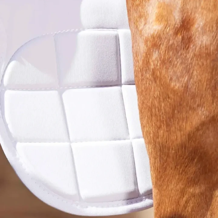 magni-teque-magnetic-horse-knee-boots-1014-756360_1600x.webp