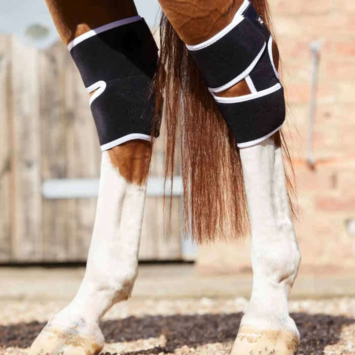 magni-teque-magnetic-hock-boots-1016-630660_1600x.webp