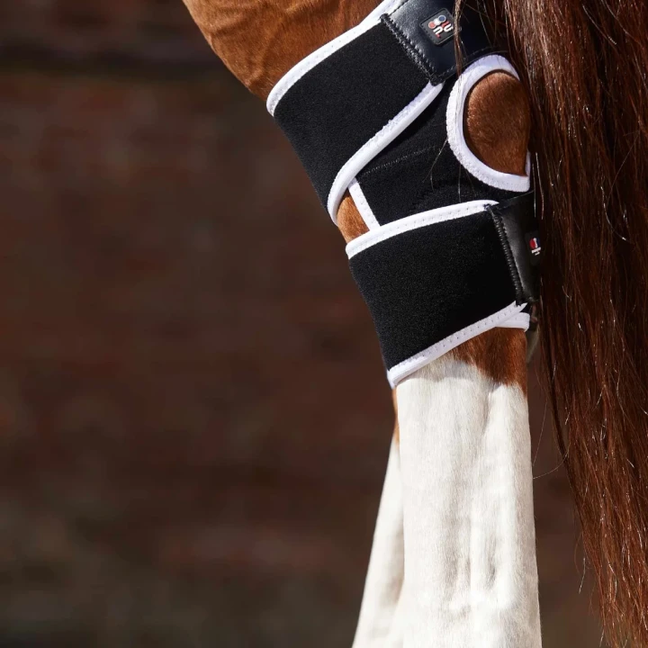 magni-teque-magnetic-hock-boots-1016-636880_1600x.webp