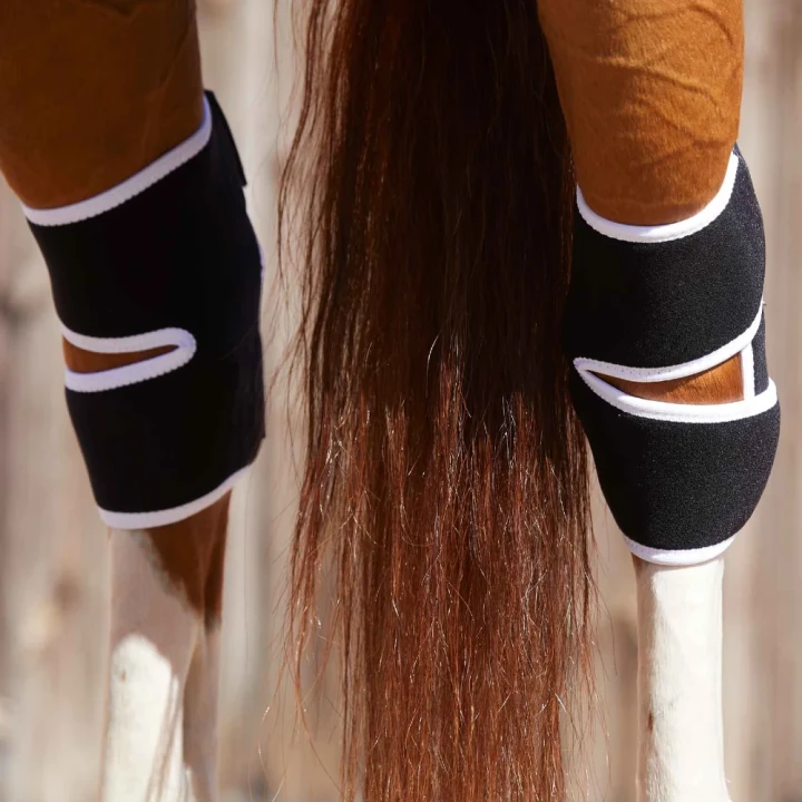 magni-teque-magnetic-hock-boots-1016-680123_1600x.webp