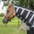 magni-teque-magnetic-horse-rug-with-neck-cover-207556-220633_1600x.webp