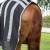magni-teque-magnetic-horse-rug-with-neck-cover-207556-858085_1600x.jpg