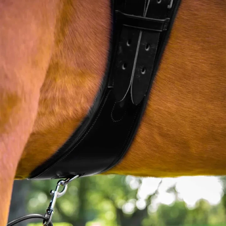 Tamarro-Anatomic-Leather-Girth-Black-4_1600x.webp