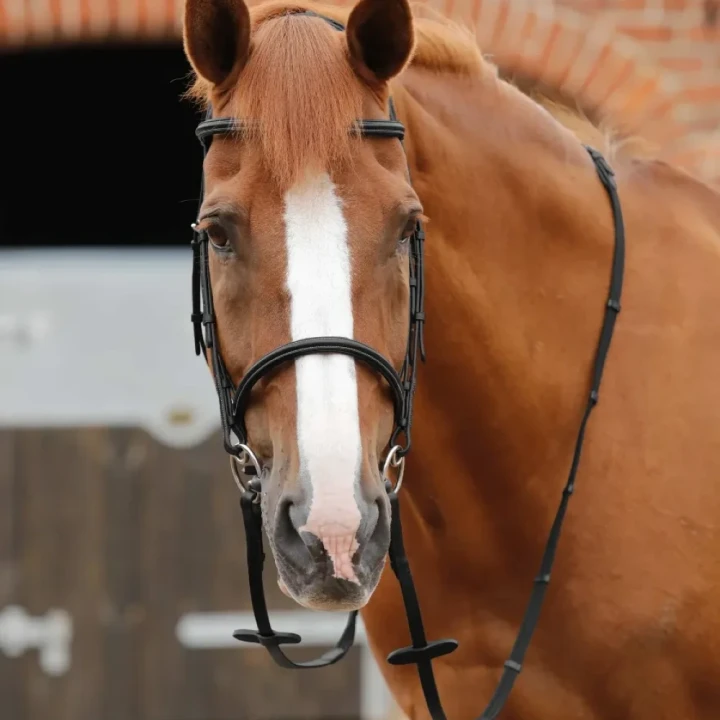 altare-web-reins-8046-blk-994169_1600x.webp