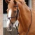Domenico-Web-_-Rubber-Grip-Reins-Brown-2_1a7d86a7-5cb7-4403-a1df-5fb74d1aeef0_1600x.webp