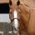 caloveto-web-reins-8040-brw-182638_768x.webp