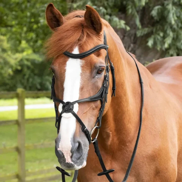 diego-rubber-reins-8045-blk-251309_1600x.webp