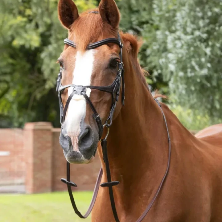 diego-rubber-reins-8045-brw-155831_768x.webp