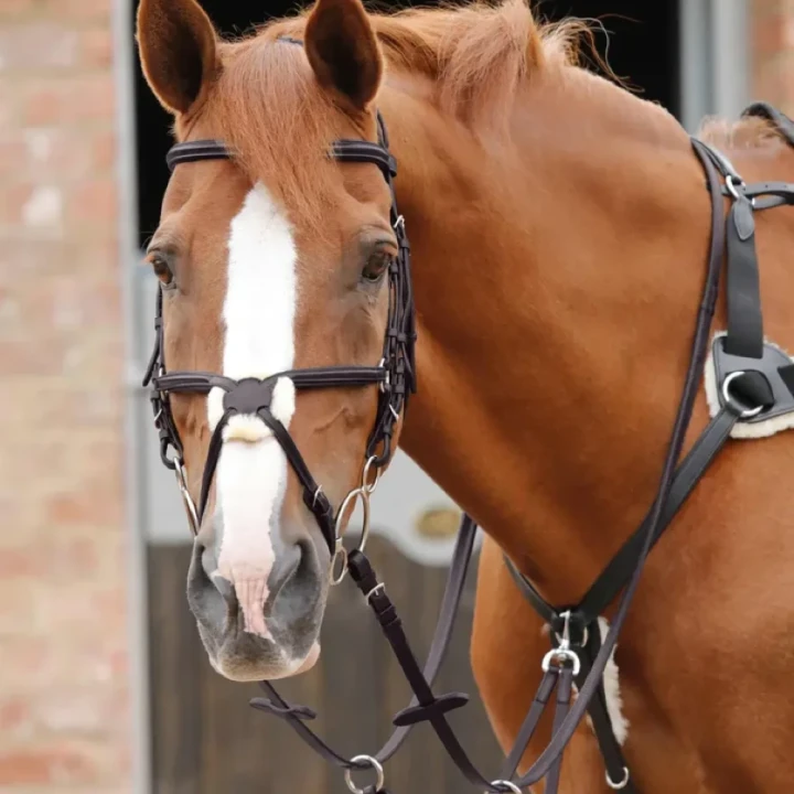 stefano-rubber-reins-8039-brw-377798_768x.webp